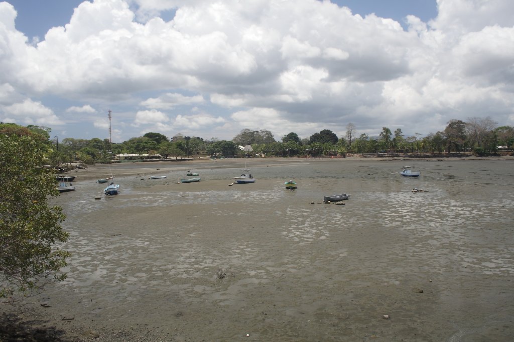 02-Harbour at low tide.jpg - Harbour at low tide